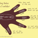 linking verbs cinco sentidos - Color